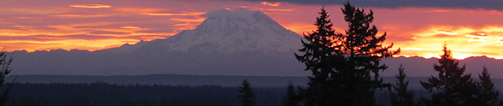 mount rainier banner