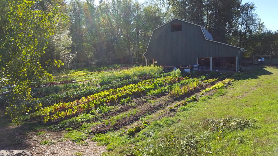 Linwood Barn GRuB Garden