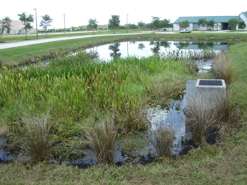 wet pond