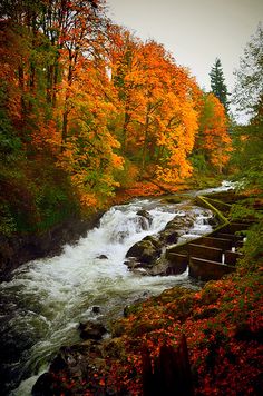 deschutes river