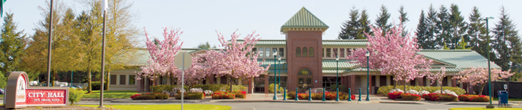 city hall banner