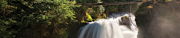 lower falls banner