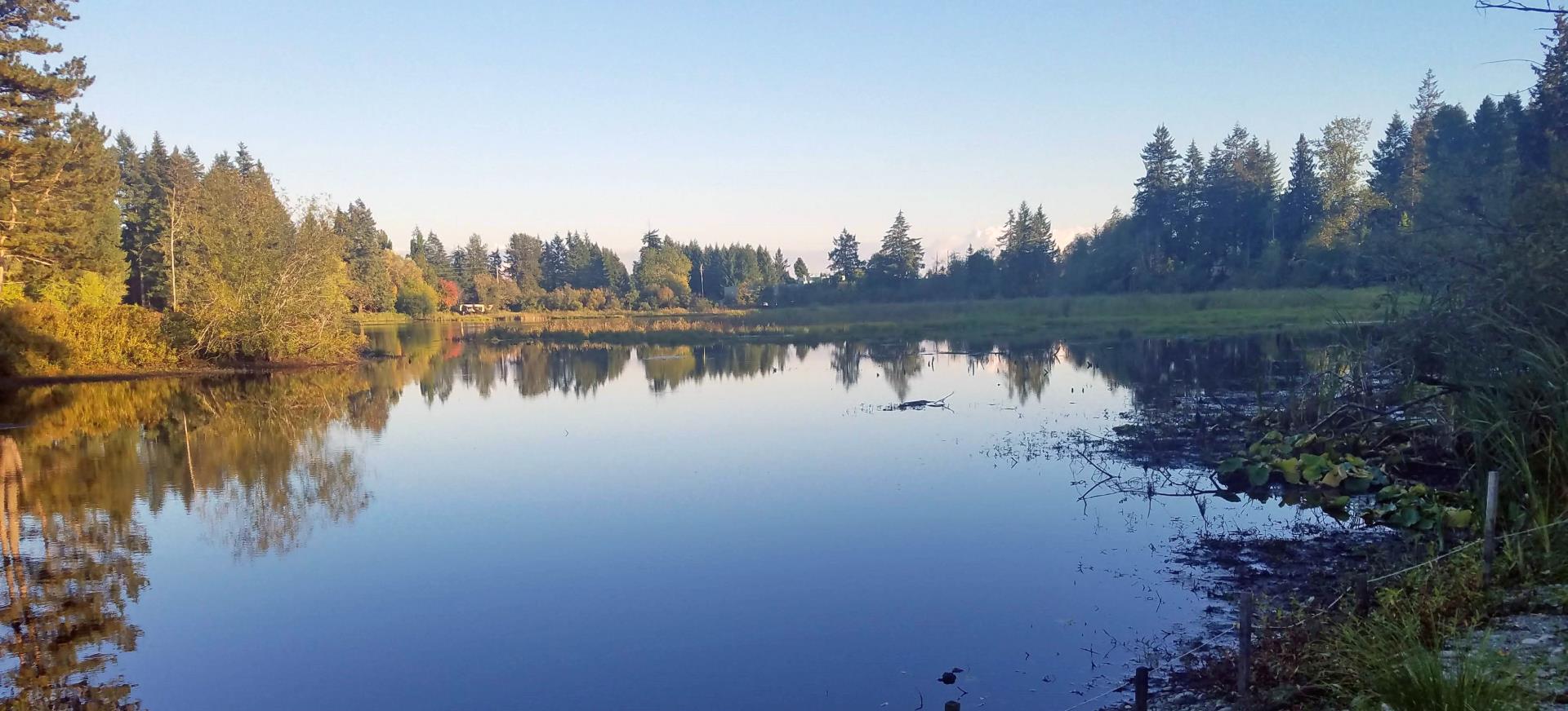 Barnes Lake daytime