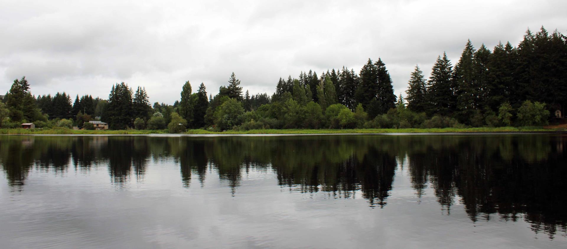 Barnes Lake landscape