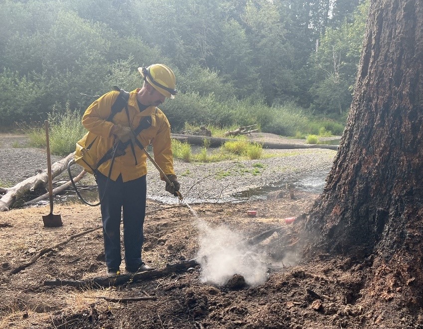 firefighter working brush fire